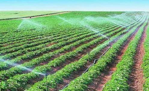 女人破处视频农田高 效节水灌溉